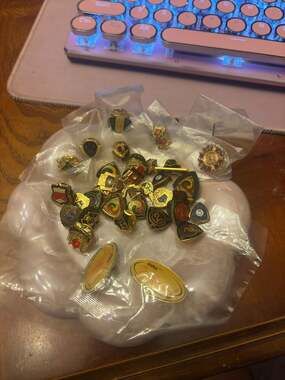 Vintage AMA American Motorcycle Association Mixed Lapel Pin Collection